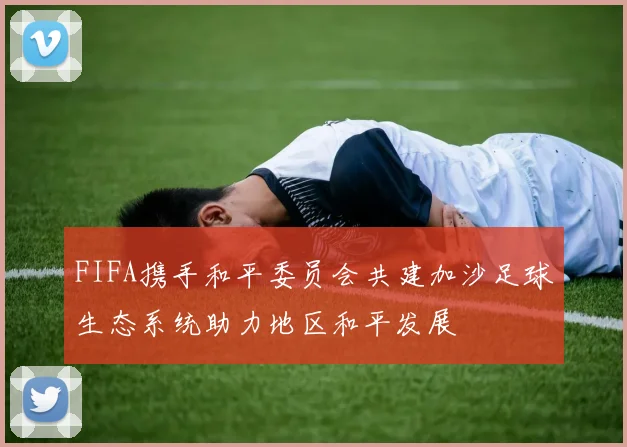 FIFA携手和平委员会共建加沙足球生态系统助力地区和平发展