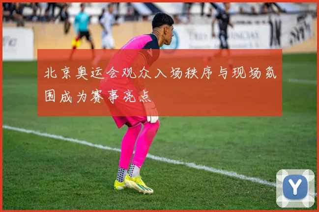 北京奥运会观众入场秩序与现场氛围成为赛事亮点